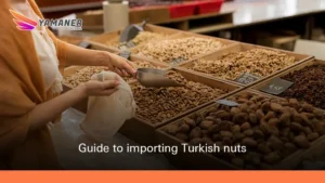 Complete Guide to Importing Turkish Nuts Successfully