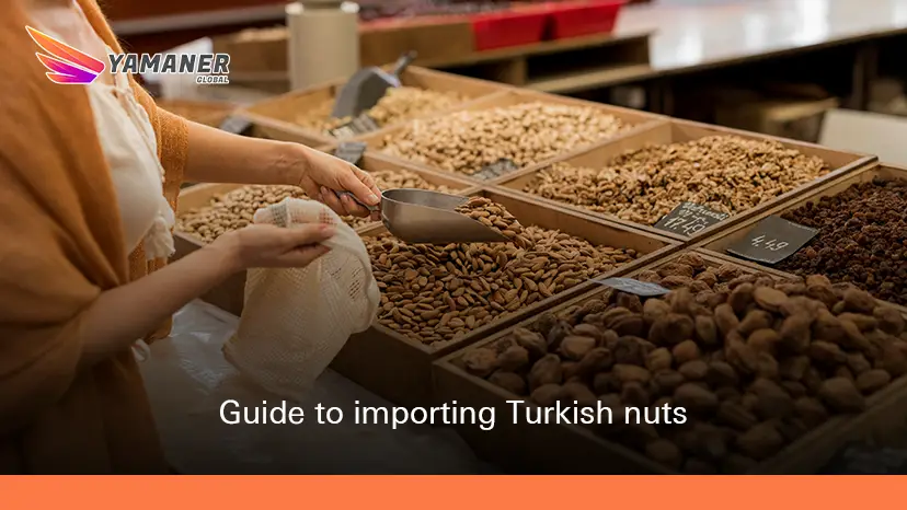 Complete Guide to Importing Turkish Nuts Successfully