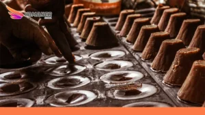 Chocolate factories in Türkiye
